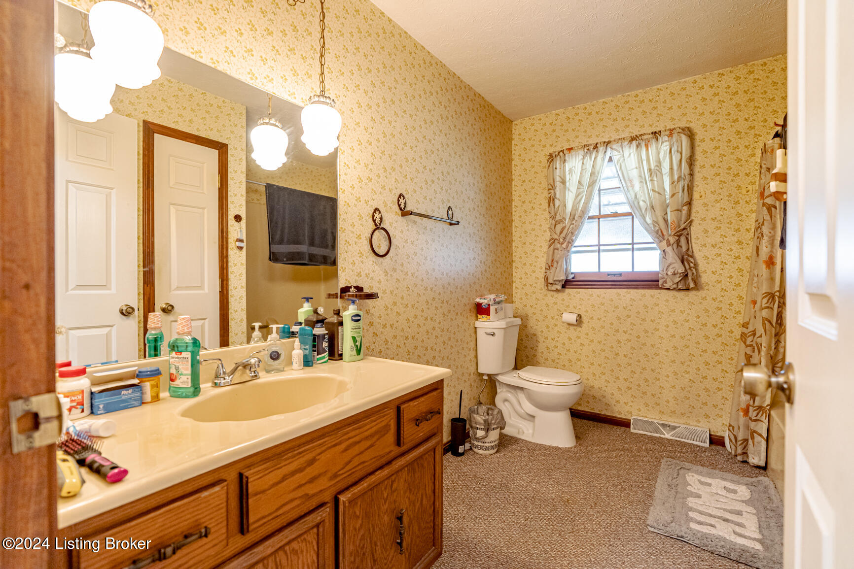 208 Old Leitchfield Rd, Clarkson, Kentucky image 24