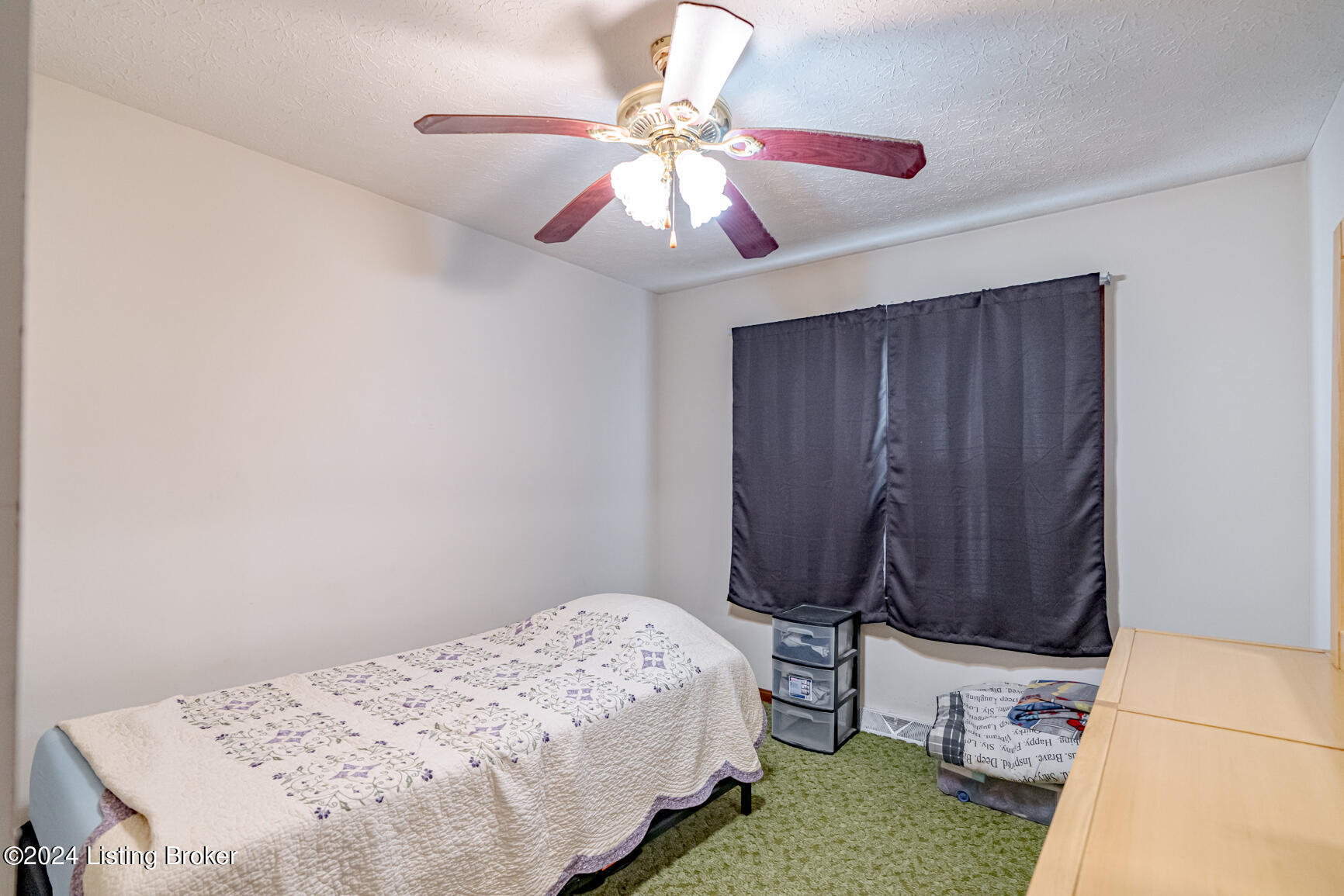 208 Old Leitchfield Rd, Clarkson, Kentucky image 22
