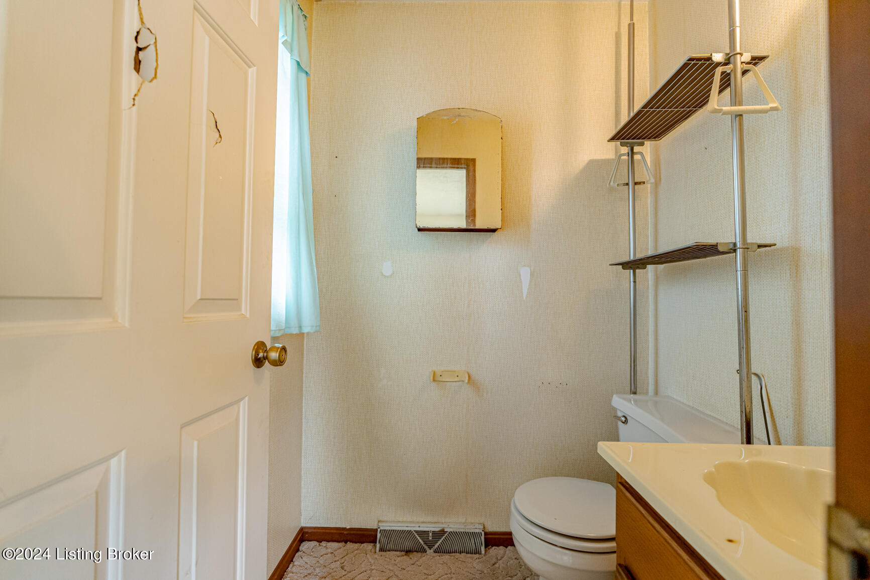 208 Old Leitchfield Rd, Clarkson, Kentucky image 30