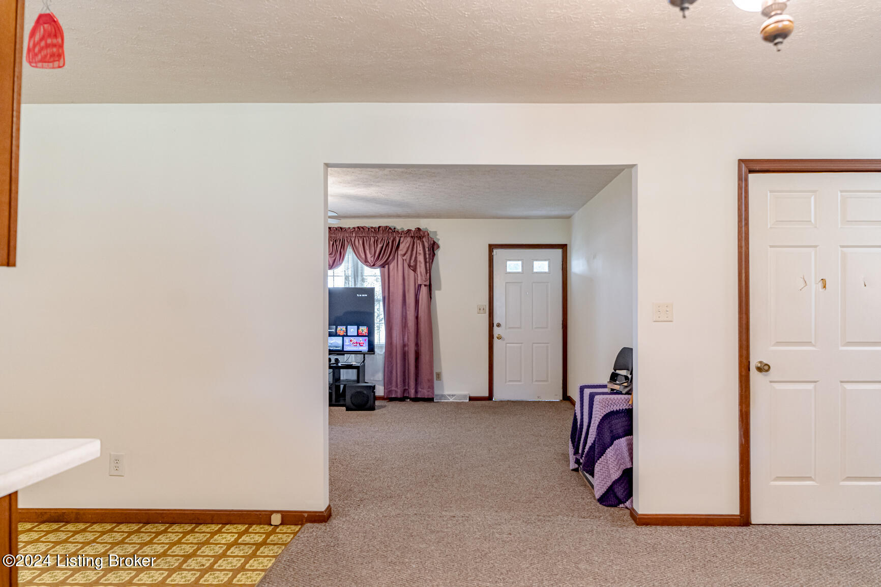 208 Old Leitchfield Rd, Clarkson, Kentucky image 21