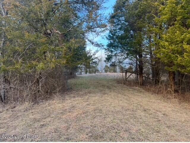1008 Pattons Creek Rd, Pendleton, Kentucky image 30
