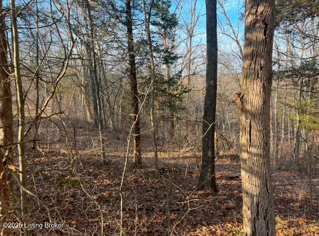 1008 Pattons Creek Rd, Pendleton, Kentucky image 34