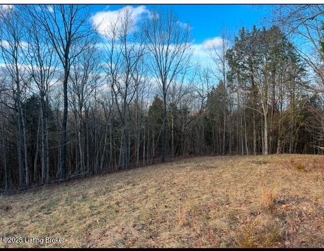 1008 Pattons Creek Rd, Pendleton, Kentucky image 39