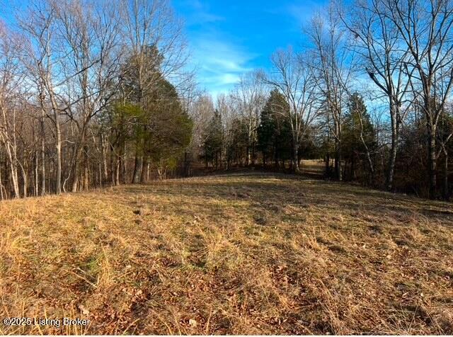 1008 Pattons Creek Rd, Pendleton, Kentucky image 35