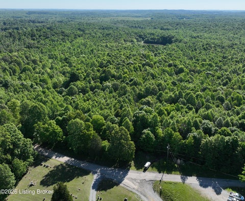 Vacant Land For Sale - 2 Ditney Hill Rd<br/> Muhlenberg County, Drakesboro, KY 42337