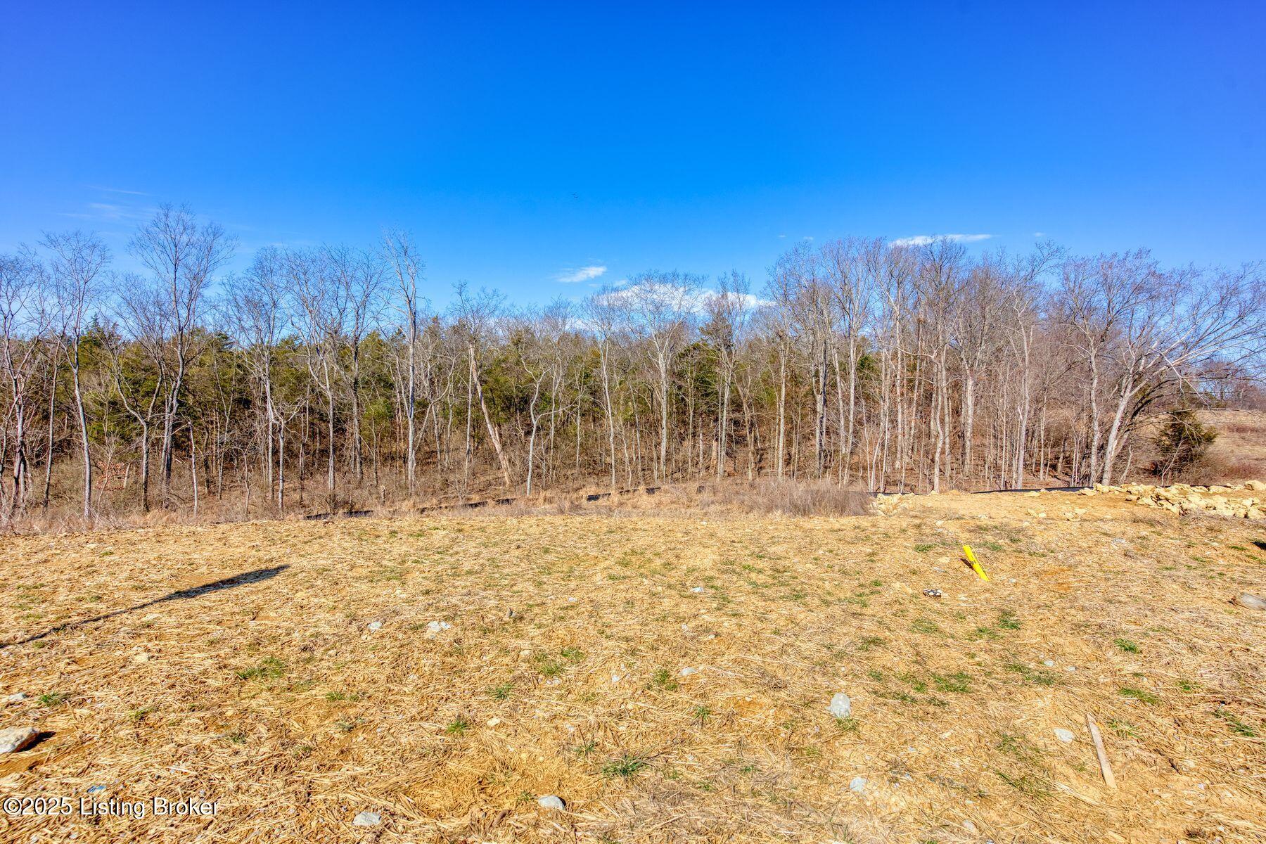 247 Shakes Creek Dr, Fisherville, Kentucky image 9