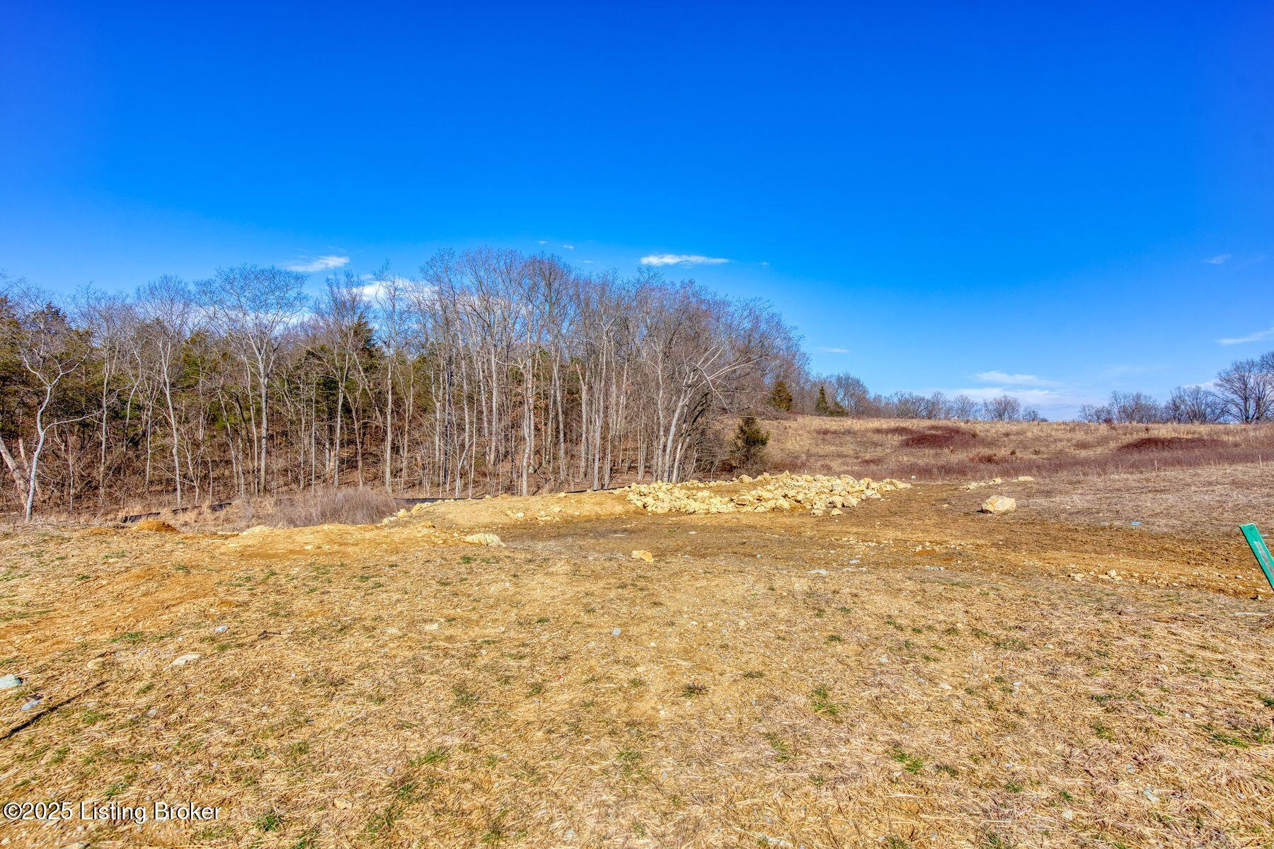 247 Shakes Creek Dr, Fisherville, Kentucky image 10