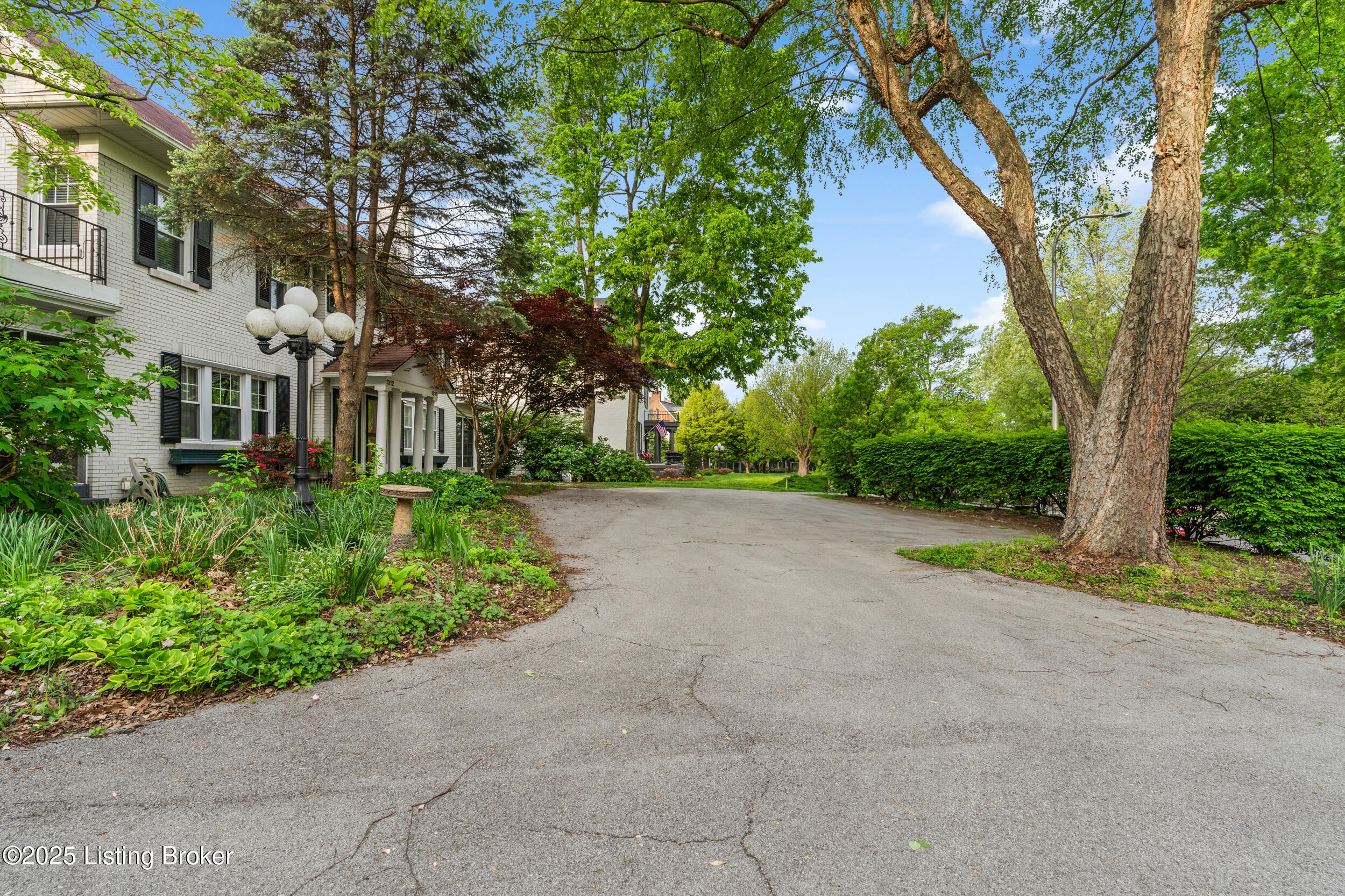 1312 Eastern Pkwy, Louisville, Kentucky image 5