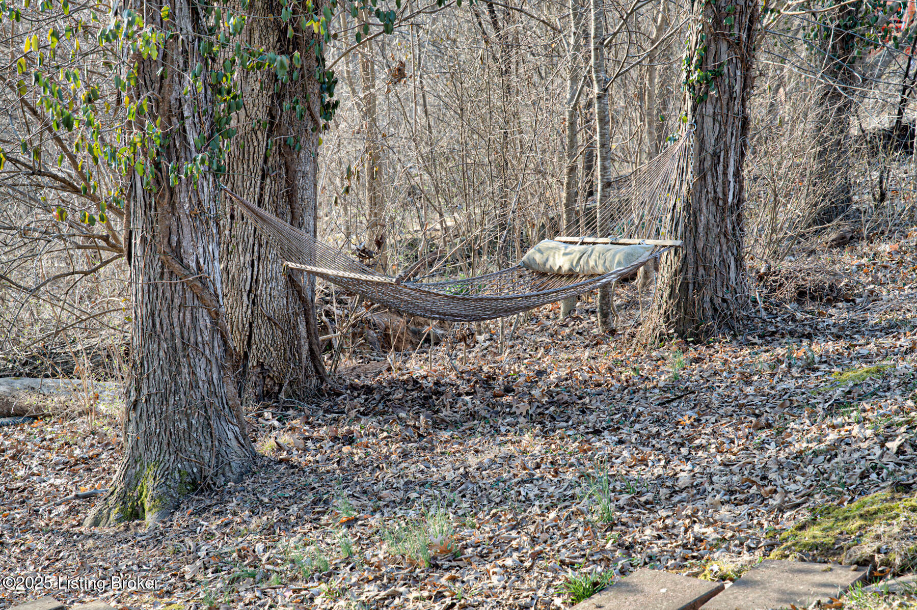 674 Old Mill Stream Ln, Shepherdsville, Kentucky image 37