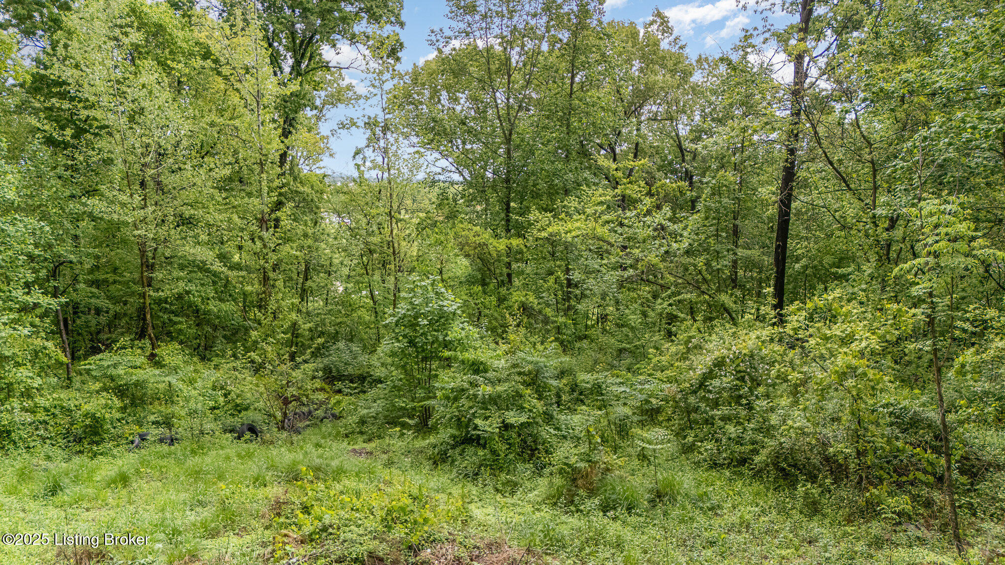 779 Timberline Dr, Vine Grove, Kentucky image 9