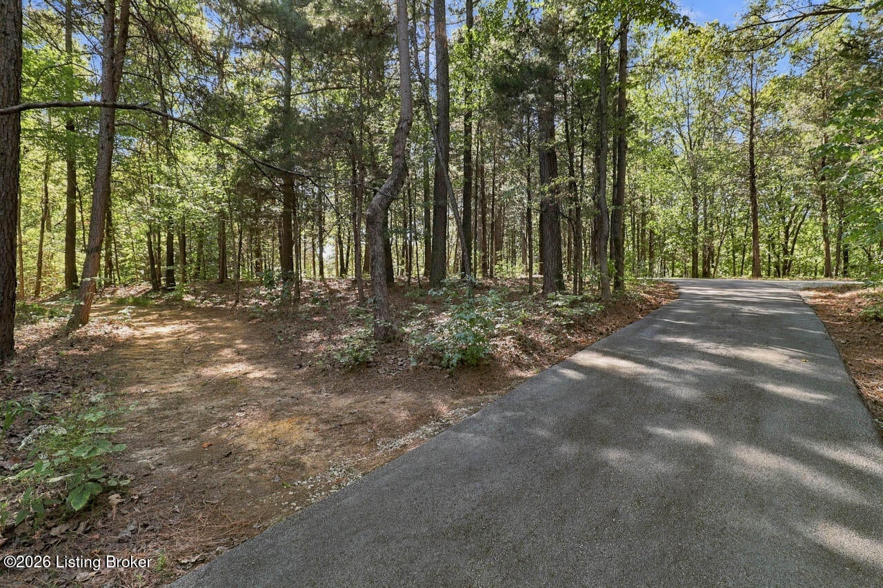 342 State Route 919