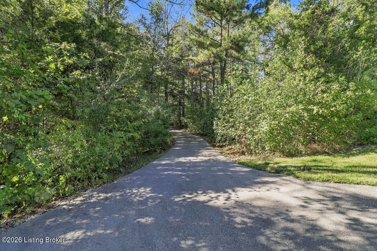 342 State Route 919