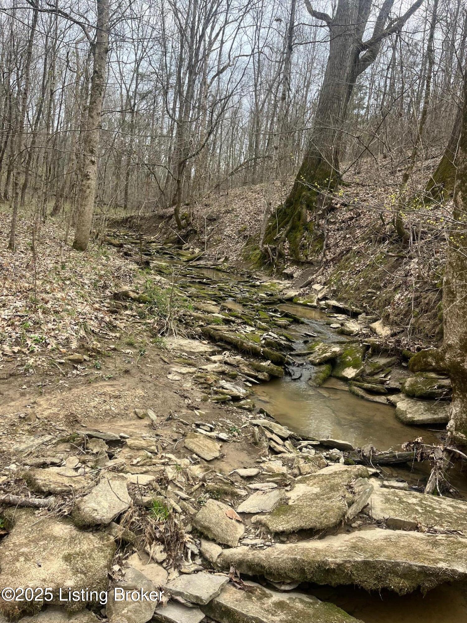 538 Paradise Pointe Rd, Mount Eden, Kentucky image 33