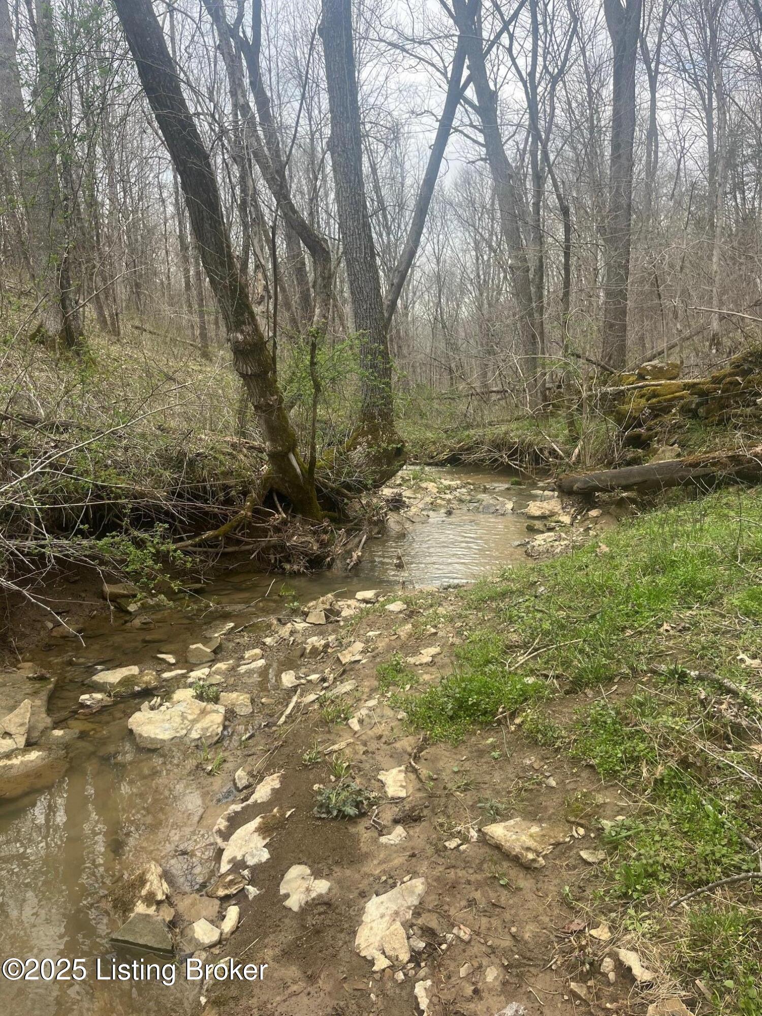 538 Paradise Pointe Rd, Mount Eden, Kentucky image 30