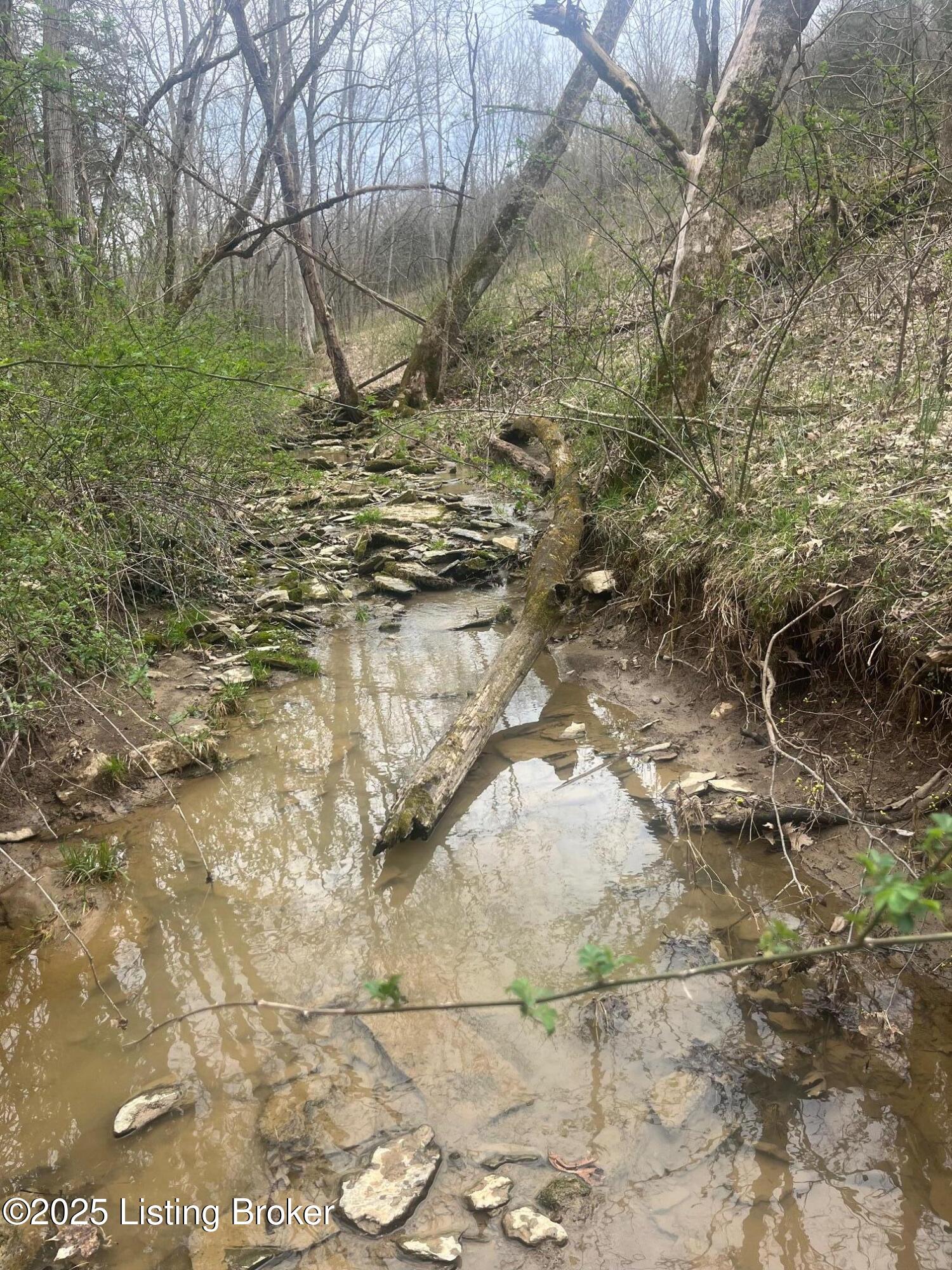 538 Paradise Pointe Rd, Mount Eden, Kentucky image 29