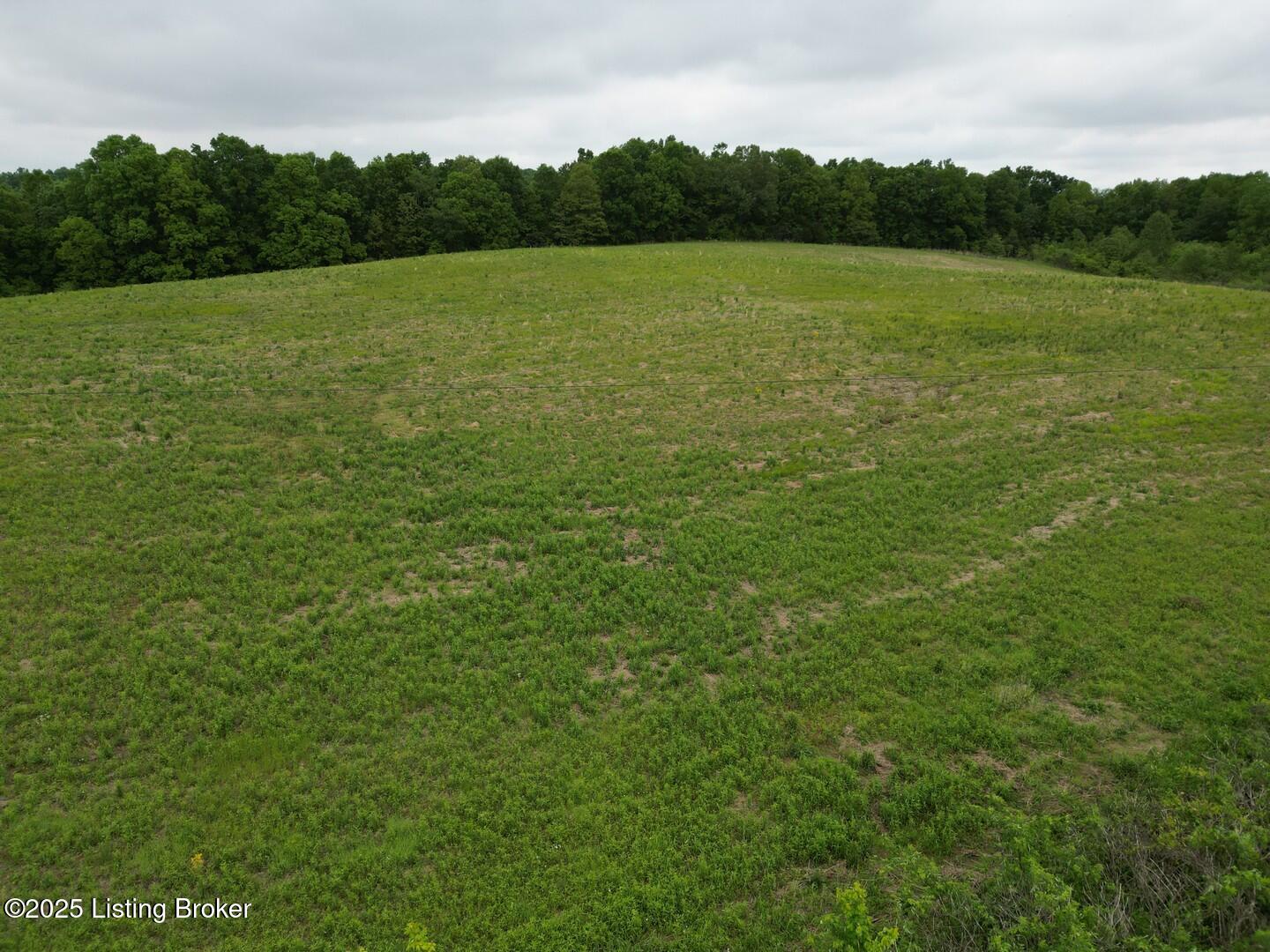 Lot 4 Duvall Rd, Caneyville, Pennsylvania image 2