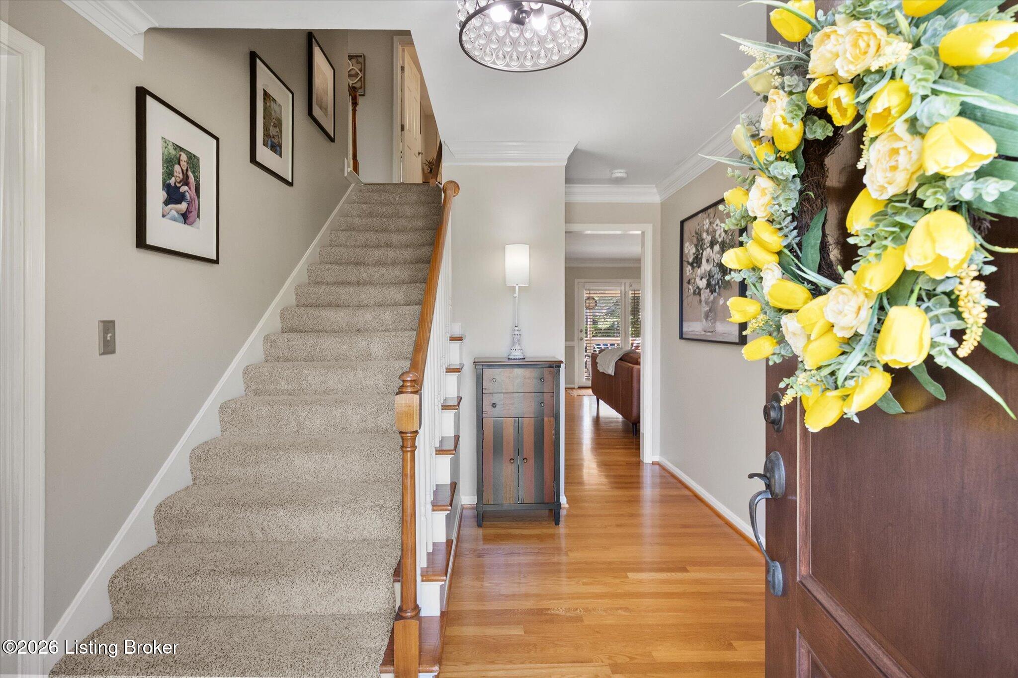 7804 Amber Glen Ct