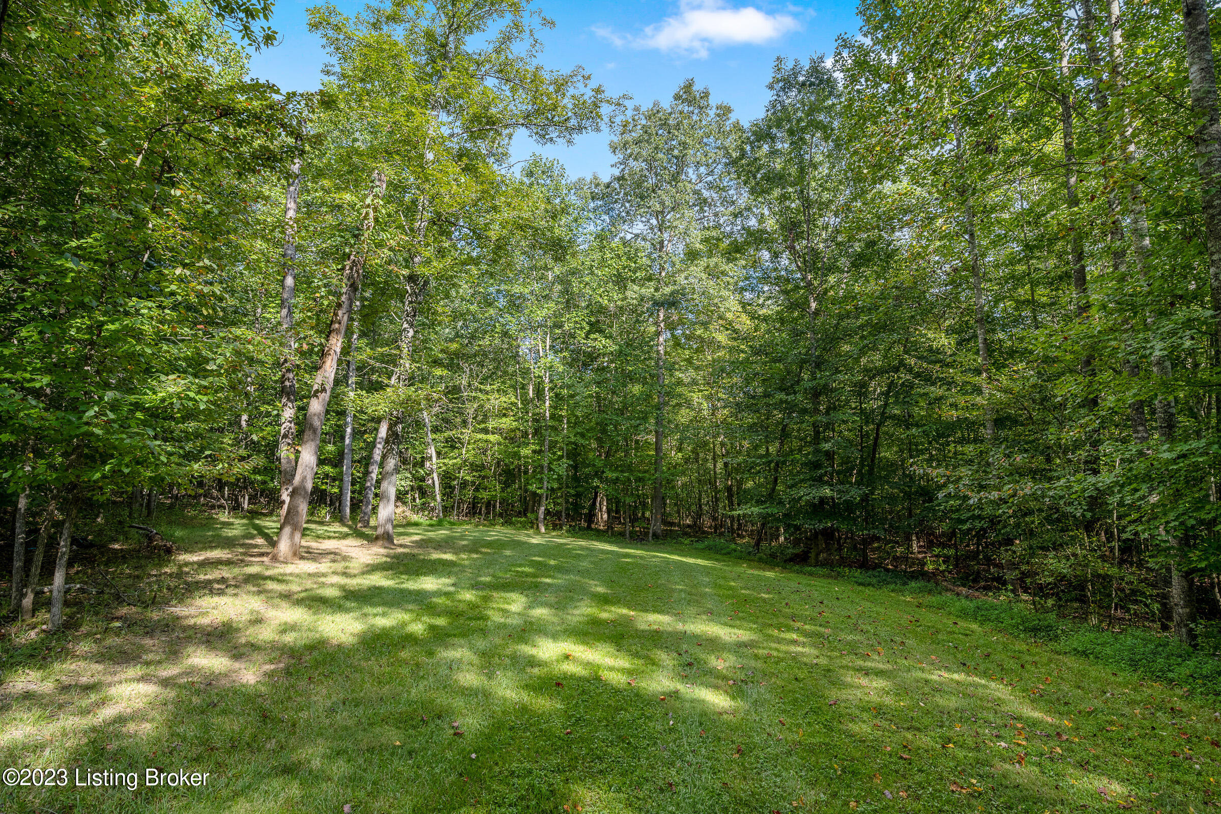 400 Moutardier Woods Rd, Leitchfield, Kentucky image 47