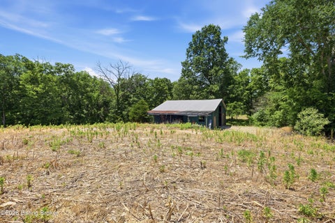 Vacant Land For Sale - 1411 Barebone Rd<br/> Bedford, KY 40006