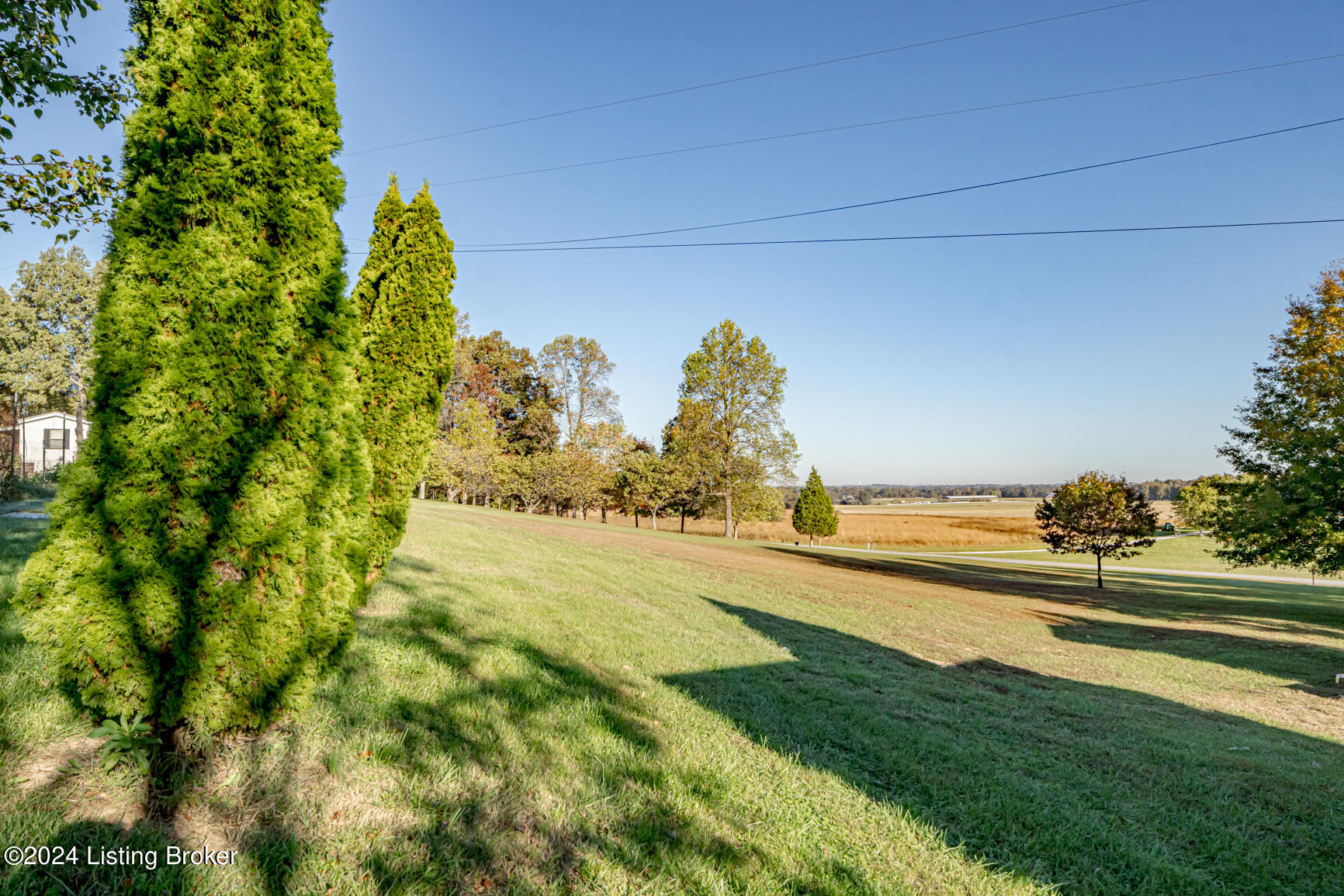 175 Boone White Rd, Leitchfield, Kentucky image 23