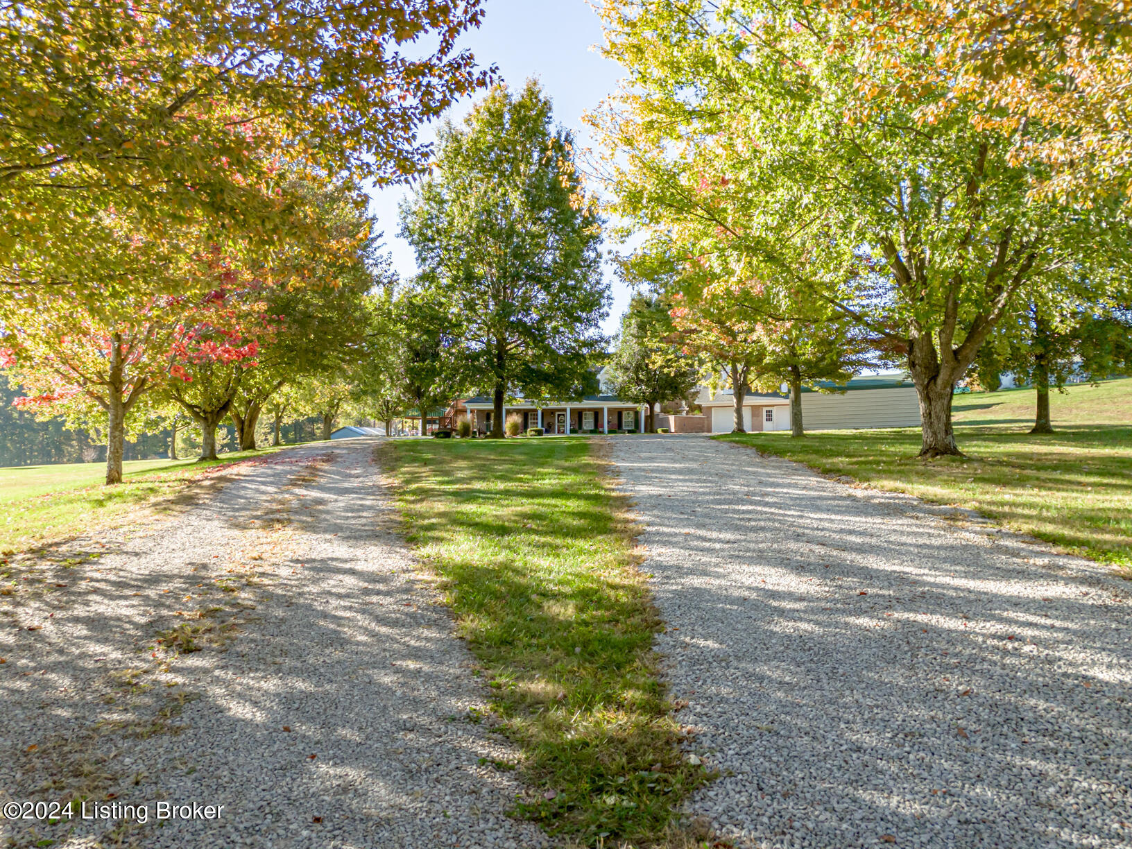 175 Boone White Rd, Leitchfield, Kentucky image 4