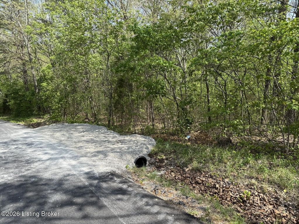 Photo of Lot 1 Shores Rd, Falls Of Rough, KY 40119 (MLS # 1714800)
