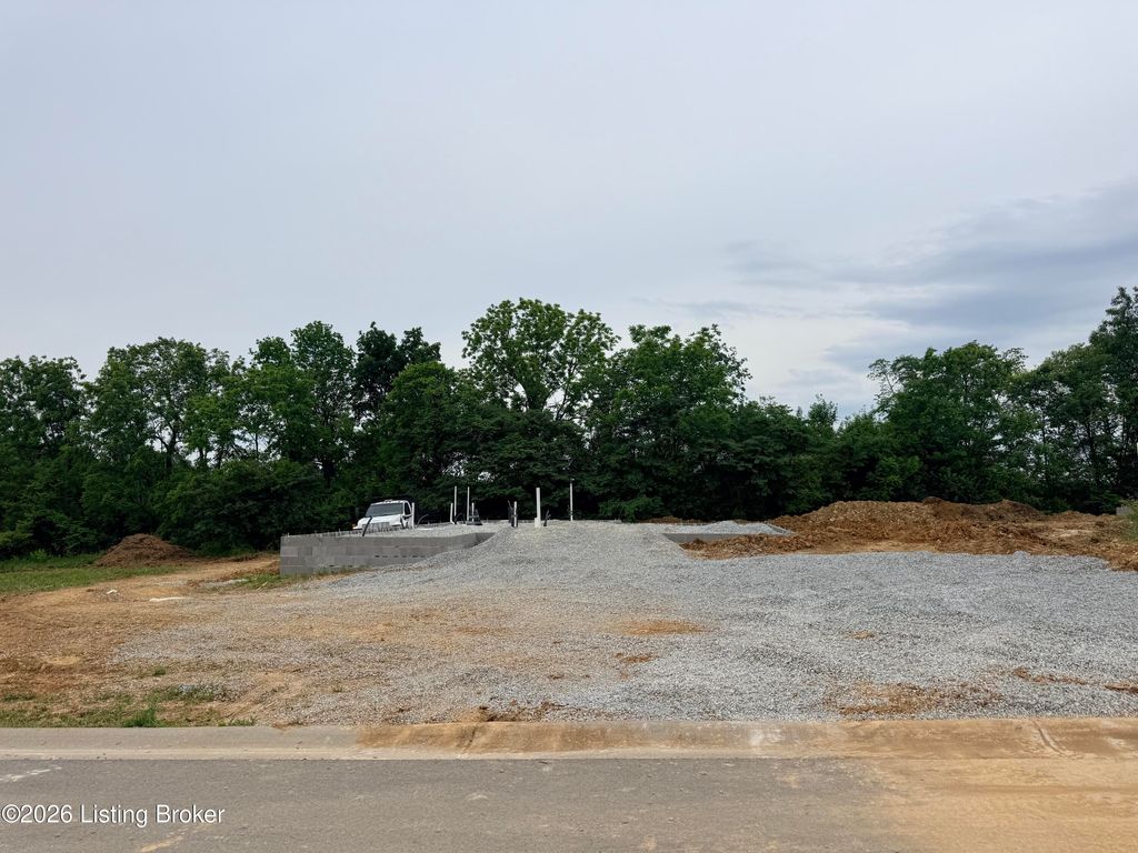 Photo of 207 Tulip Dr, Bardstown, KY 40004 (MLS # 1716488)