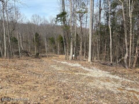 459 Maggie Ct, Garfield, Kentucky image 2