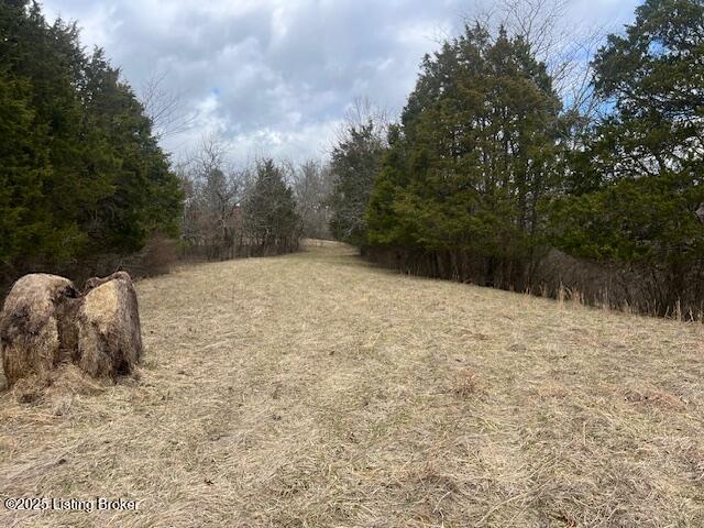 1180C Pattons Creek Rd, Pendleton, Kentucky image 3