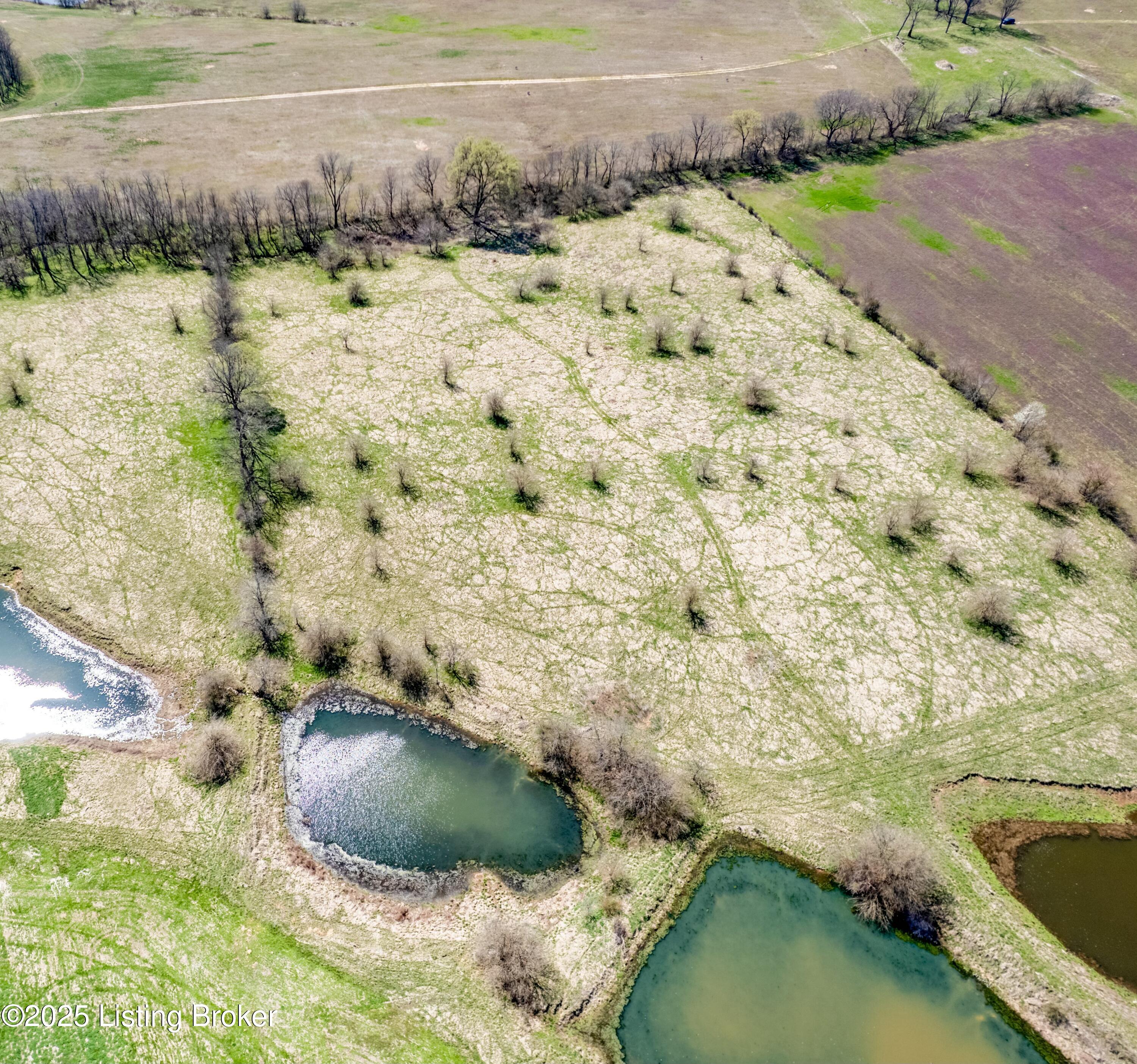 Tract 108 North Stallard Springs, Shelbyville, Kentucky image 3