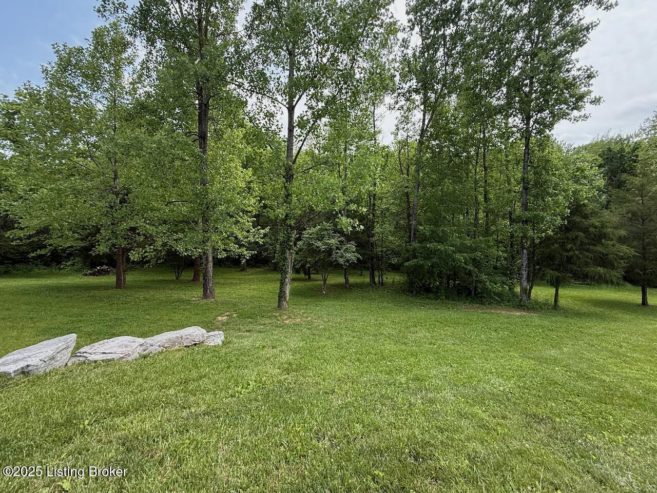 3637 Mt Washington Rd, Taylorsville, Pennsylvania image 8