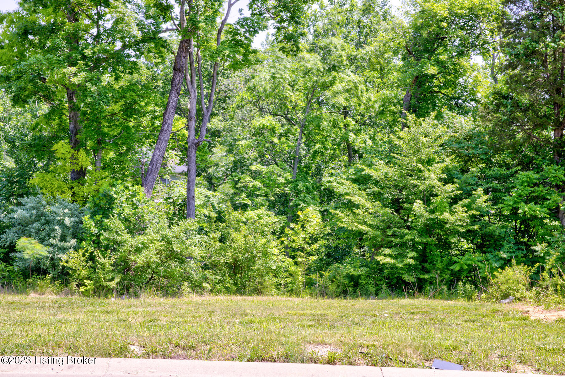 Hidden Falls Dr #LOT 72, Mt Washington, Pennsylvania image 3