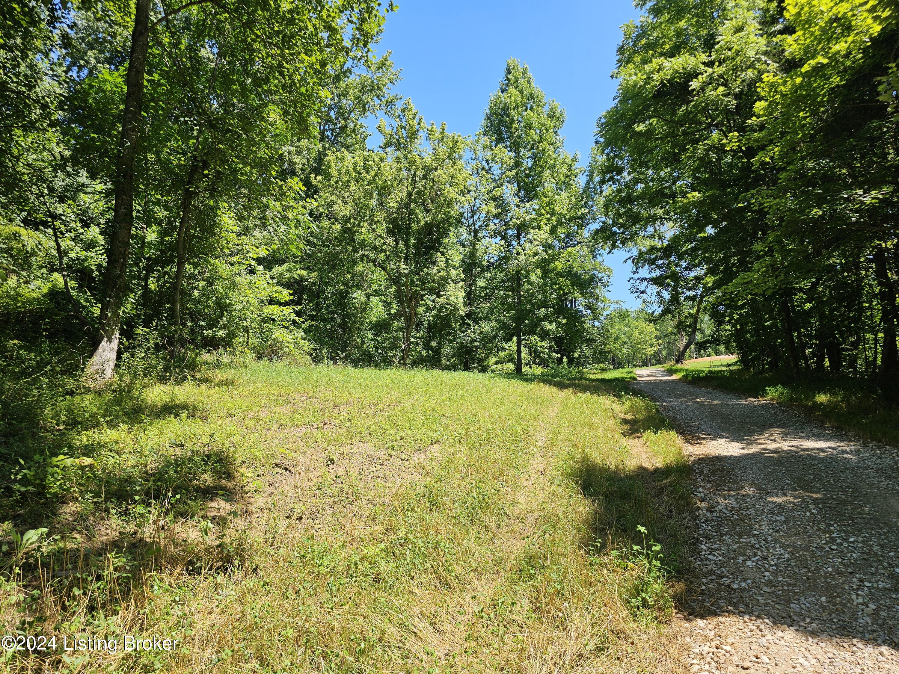 Tract 3 Round Bottom Rd, Magnolia, Kentucky image 9