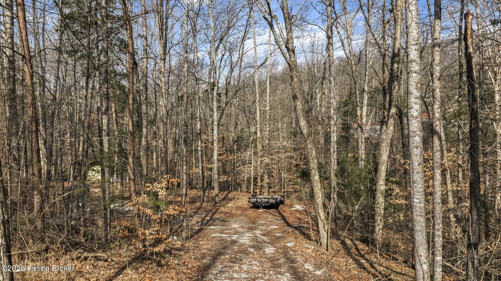 Photo of 2370 Robbin Ln, Cub Run, KY 42729 (MLS # 1712360)