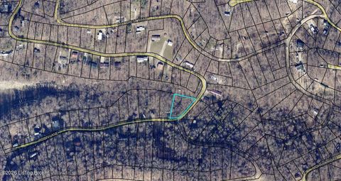 Vacant Land For Sale - 2370 Robbin Ln<br/> Hart County, Cub Run, KY 42729