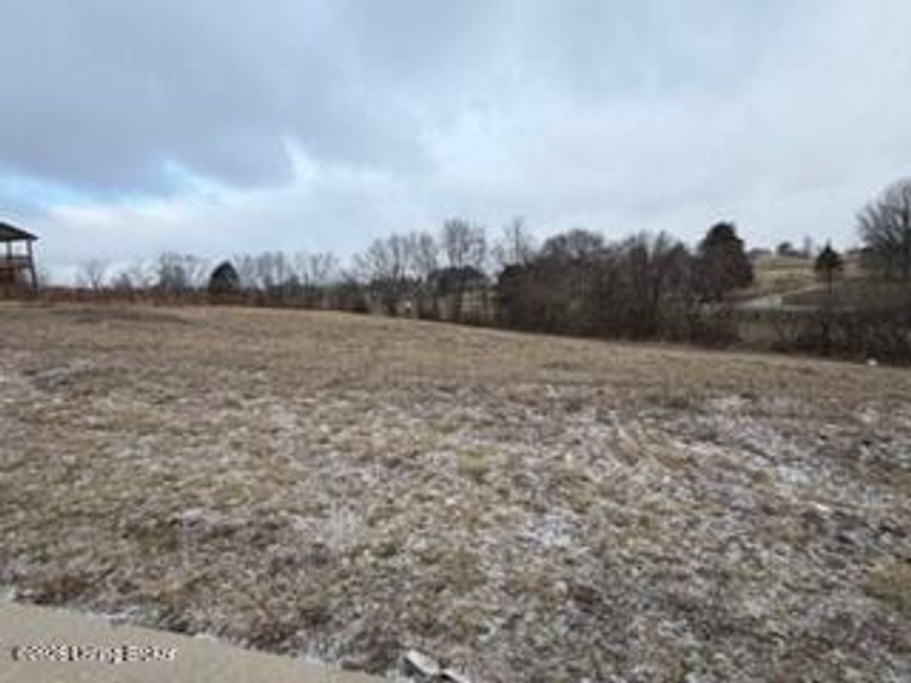 Photo of 11 sparrow Ln, Fisherville, KY 40023 (MLS # 1709660)