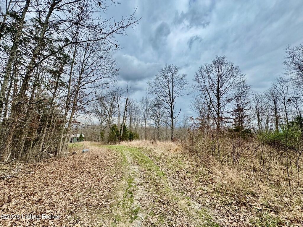 Photo of 482 Gordon Ford Rd, Willisburg, KY 40078 (MLS # 1711249)