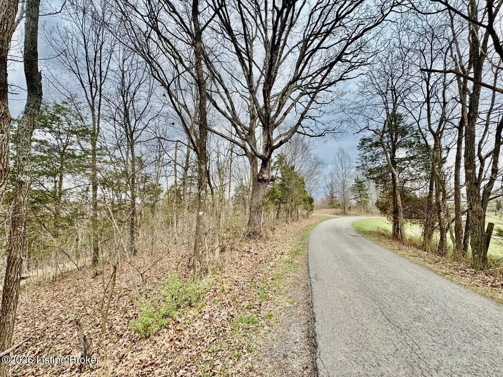 Photo of 482 Gordon Ford Rd, Willisburg, KY 40078 (MLS # 1711249)