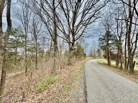 Vacant Land For Sale - 482 Gordon Ford Rd<br/> Willisburg, KY 40078