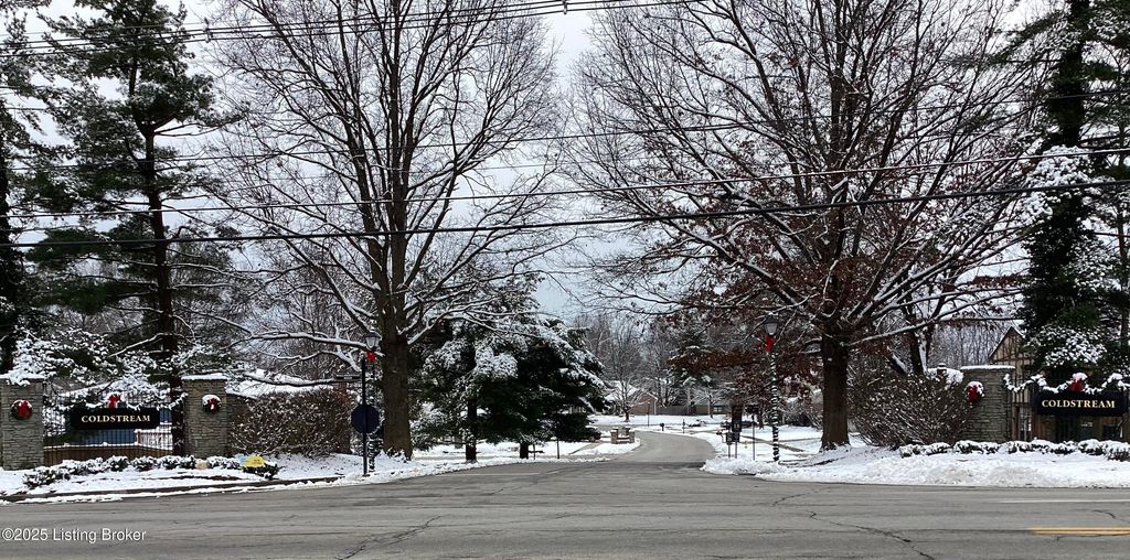 Photo of 11904 Wide Spring Ct. Ct, Louisville, KY 40245 (MLS # 1704760)