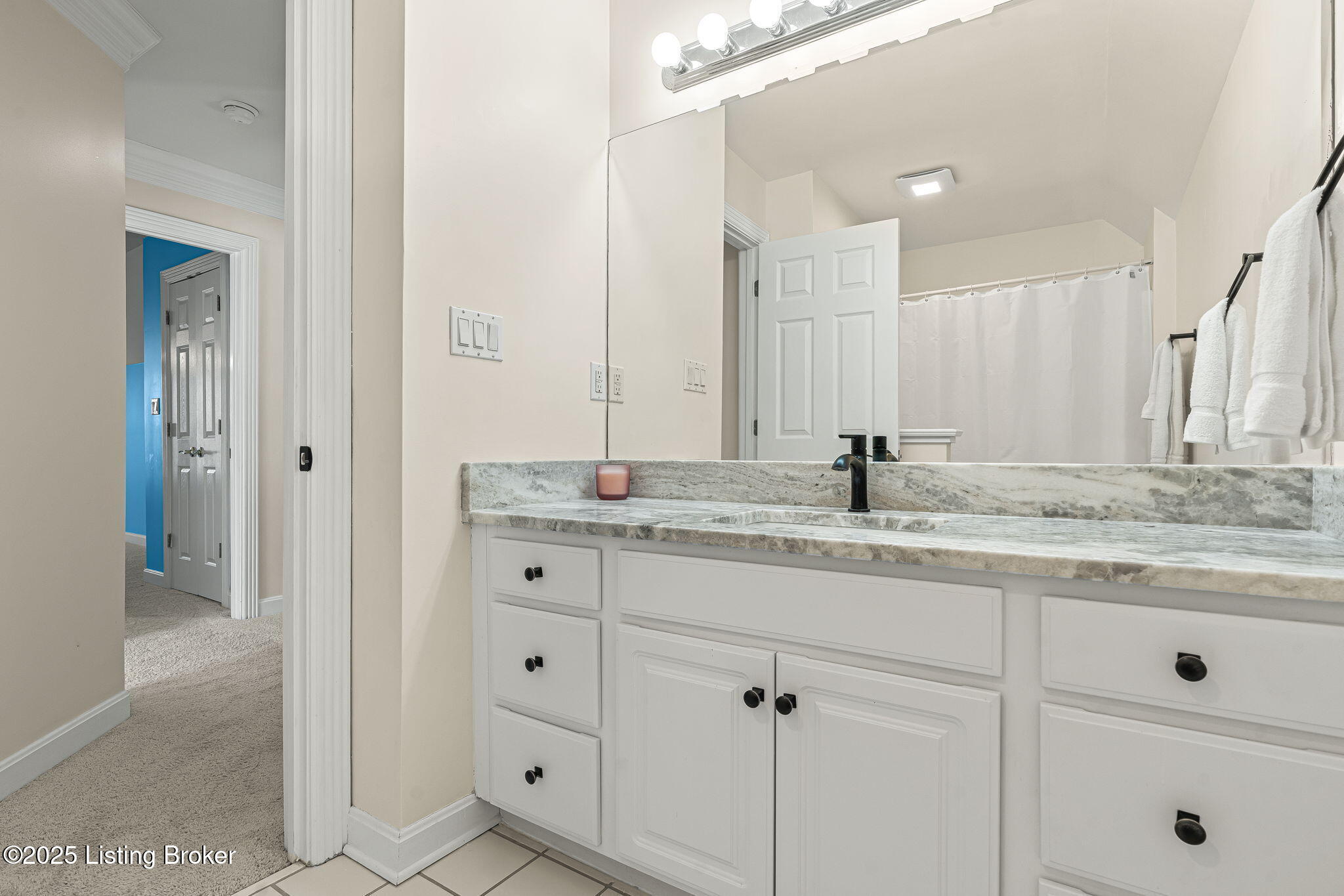 10117 Springhurst Gardens Cir, Louisville, Kentucky image 31