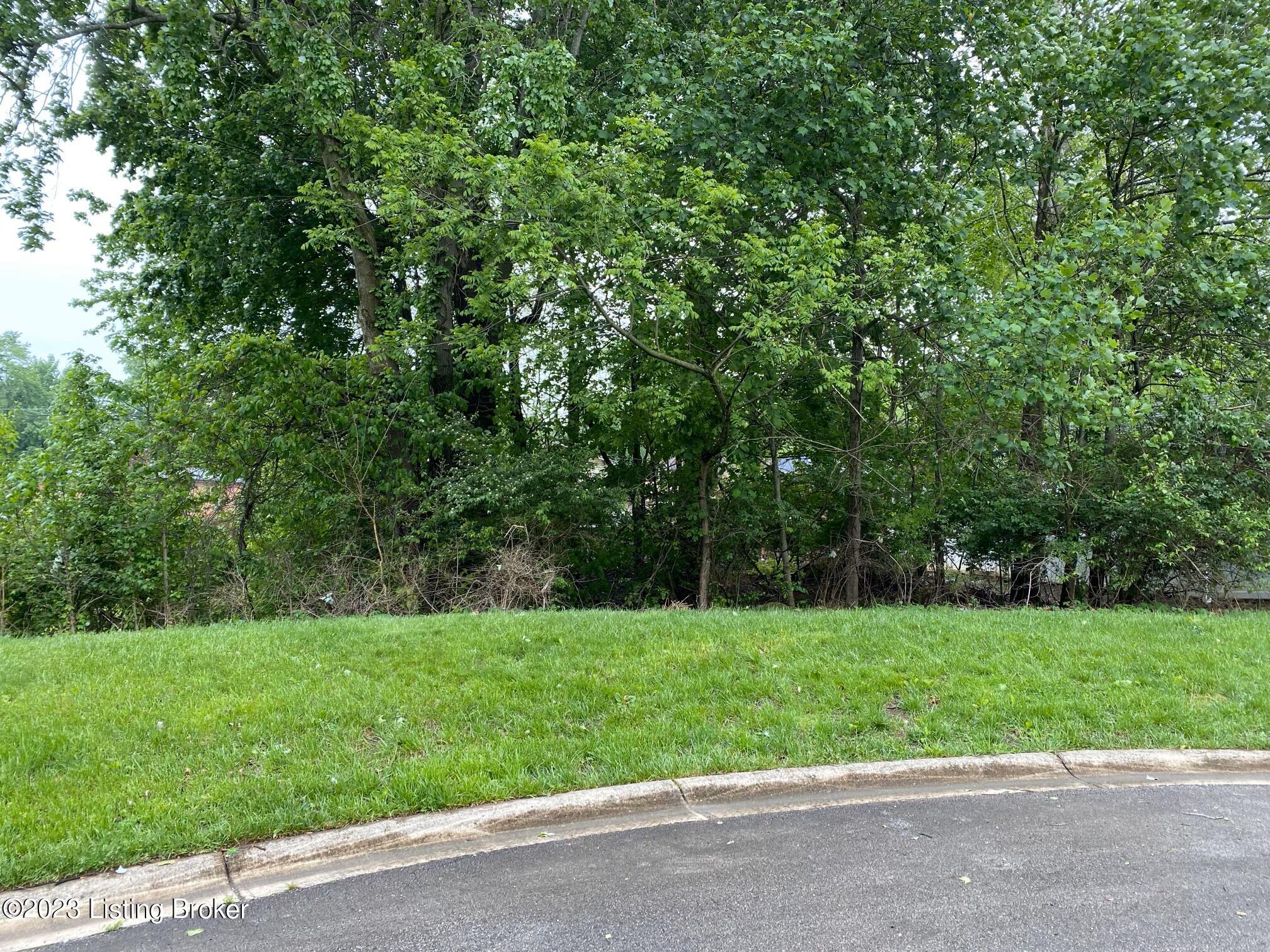 6208 Cottage Ridge Pl, Louisville, Kentucky image 1