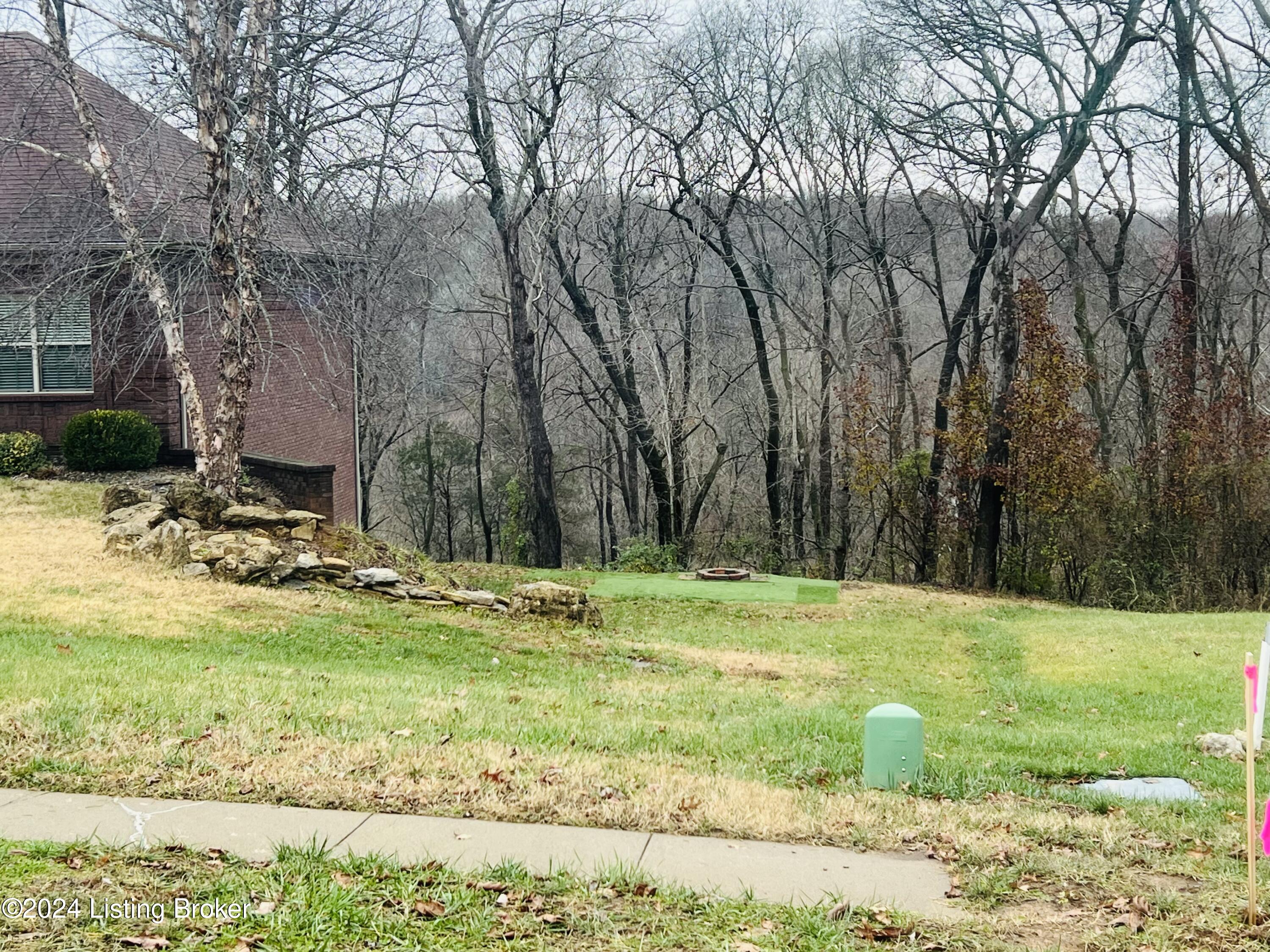 468 E Millwater Falls Fls, Shepherdsville, Kentucky image 5