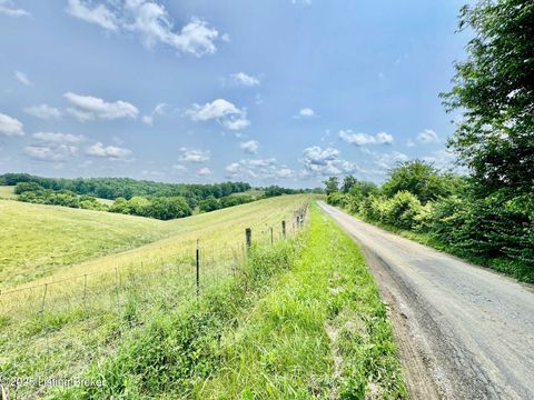 Vacant Land For Sale - 3650 Baker Ridge Rd<br/> Willisburg, KY 40078