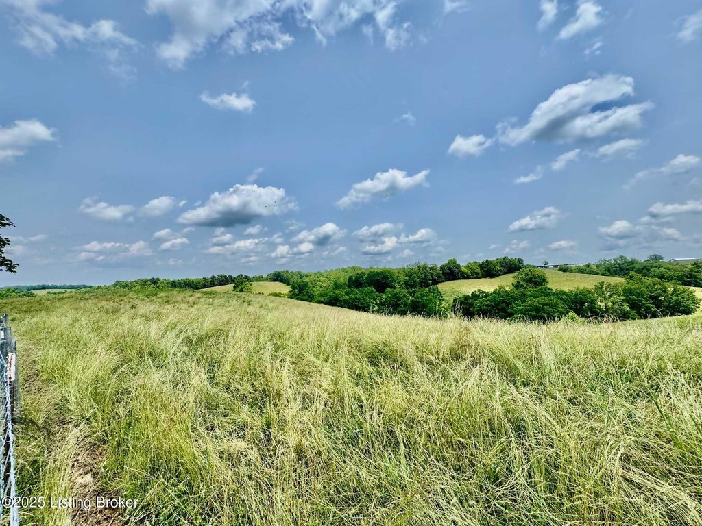 Photo of 3650 Baker Ridge Rd, Willisburg, KY 40078 (MLS # 1705096)