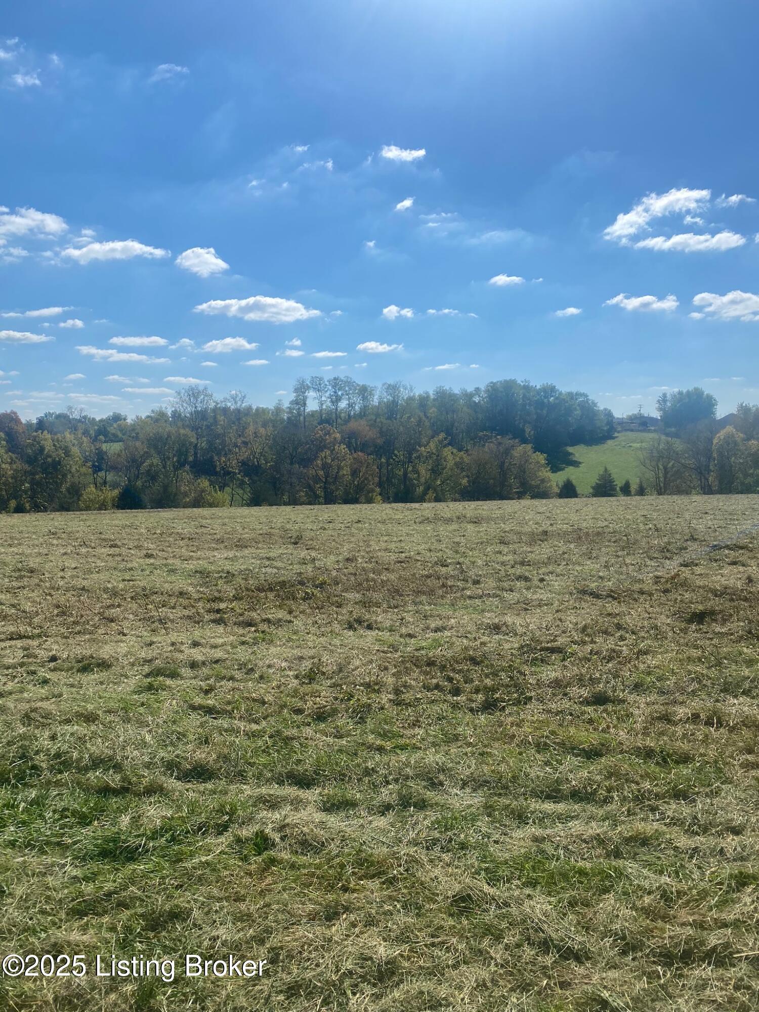 30 Elizabeth Ln, Mount Eden, Kentucky image 7