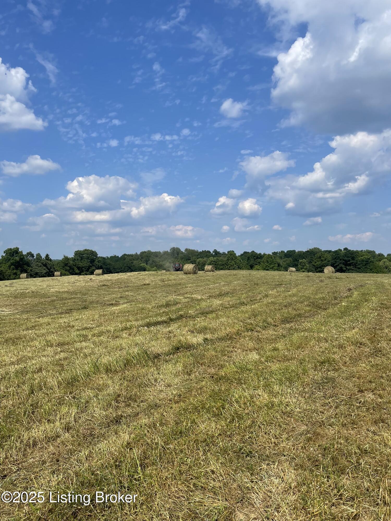 30 Elizabeth Ln, Mount Eden, Kentucky image 8