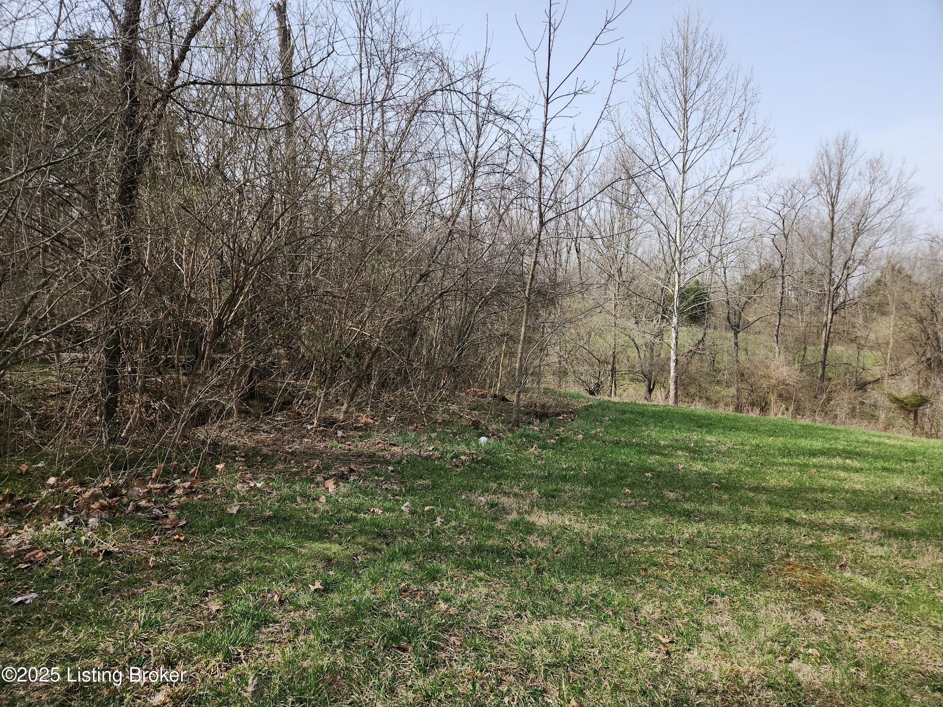143 Silverview Ct, Smithfield, Kentucky image 3