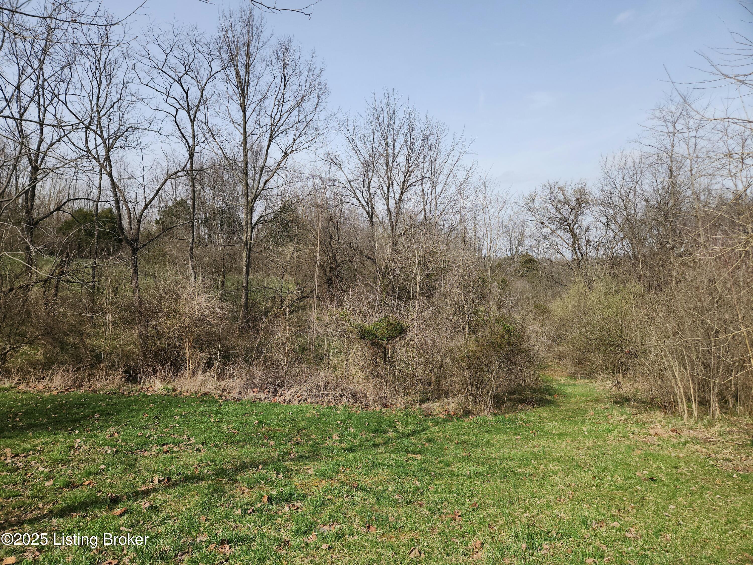 143 Silverview Ct, Smithfield, Kentucky image 4