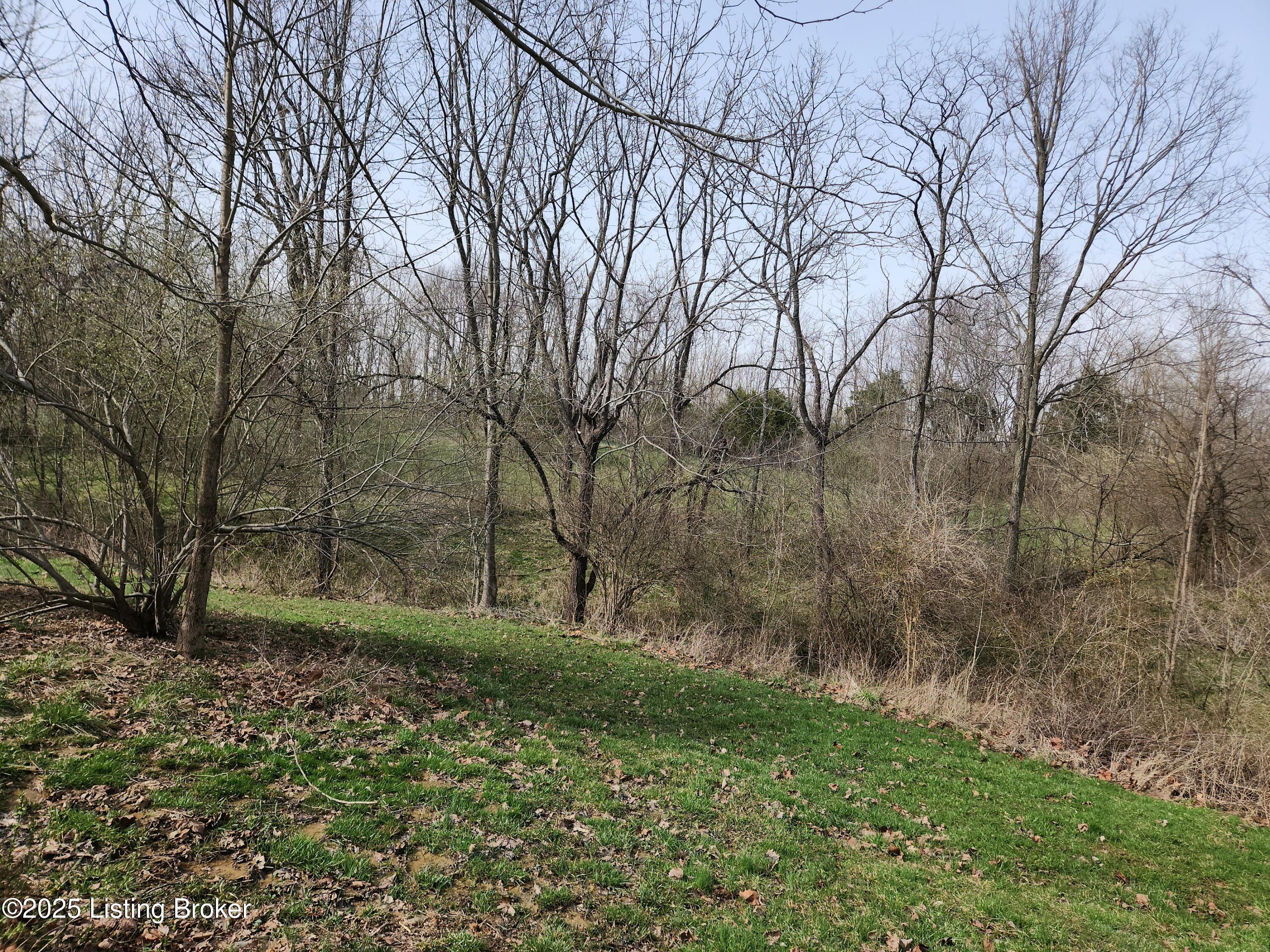 143 Silverview Ct, Smithfield, Kentucky image 6